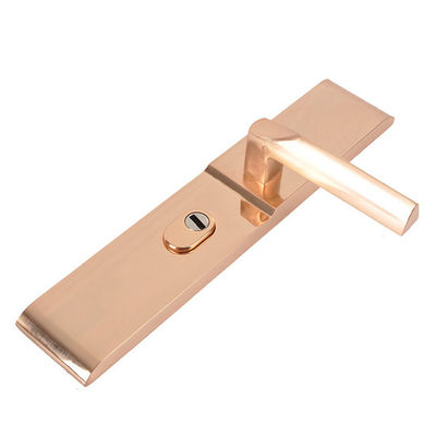 Kirsite moulage sous pression moulage par injection de précision miroir polissage serrure de porte accessoires de coque
