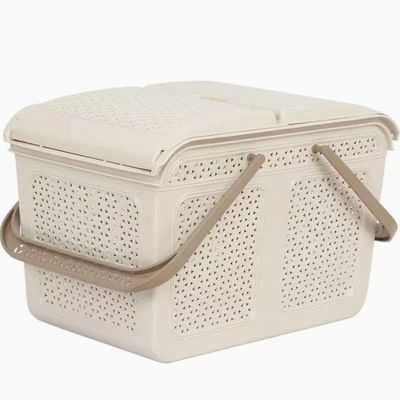 PIM Maison Moule domestique Mousse de panier à rats Moule plastique injectable